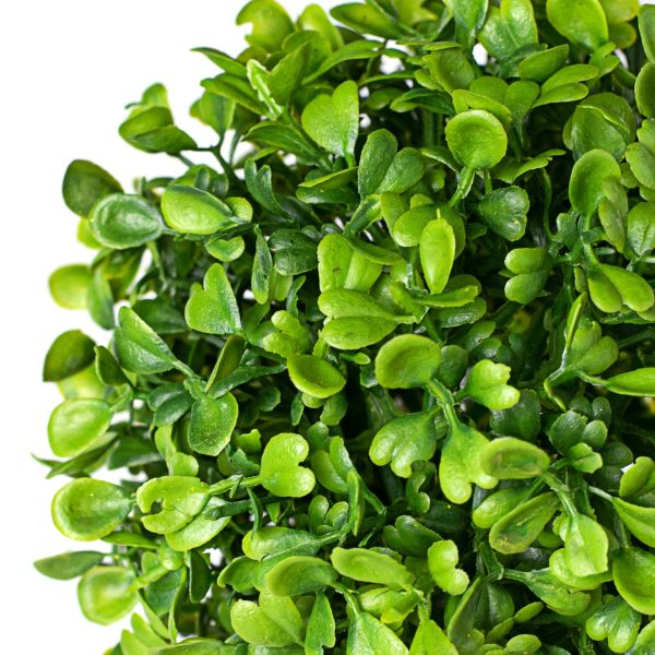 6  Green Boxwood Ball Hot on Sale