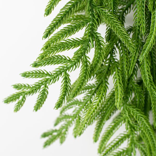 6  Norfolk Pine Garland For Sale