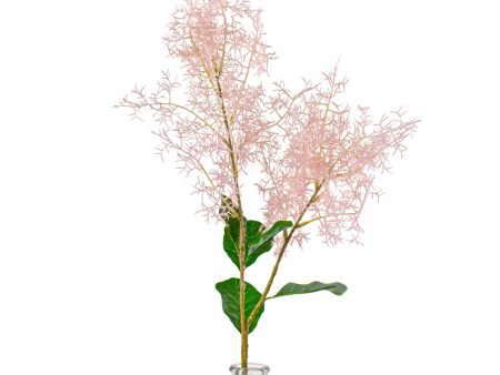 32  Smoke Tree Spray: Pink Online