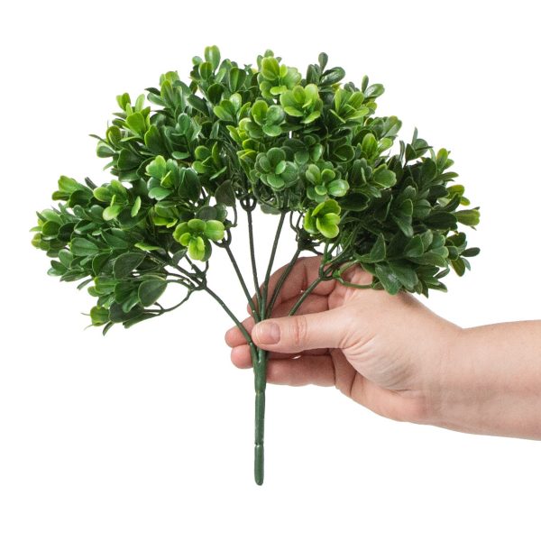 11  Boxwood Pick Hot on Sale