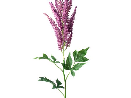 35  Astilbe Flower Spray: Lavender For Discount