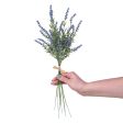 17  Lavender Bundle Online Sale