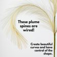 42  Pampas Grass Branch: Ivory Hot on Sale