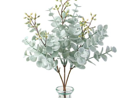 11  Dusty Mini Eucalyptus Bush Online Hot Sale