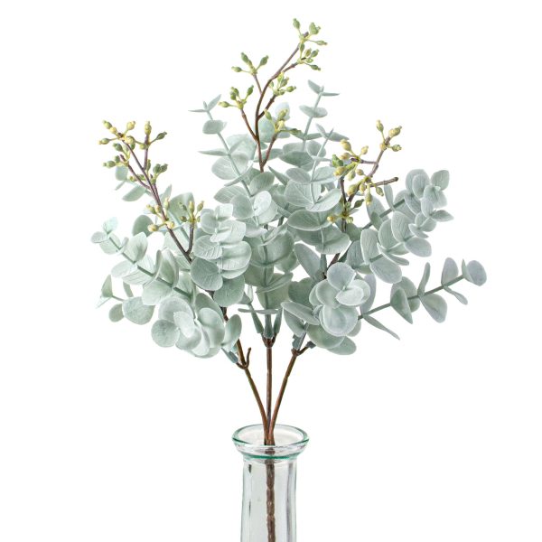 11  Dusty Mini Eucalyptus Bush Online Hot Sale