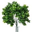 11  Boxwood Pick Hot on Sale