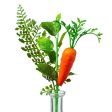 10  Fern, Greenery, Carrot Pick Hot on Sale