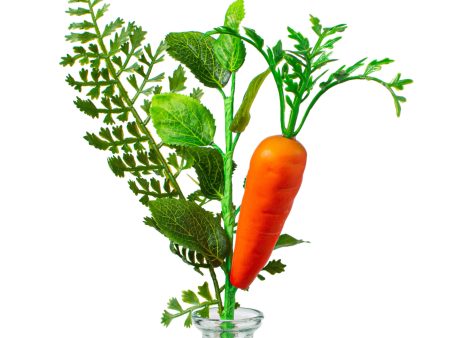 10  Fern, Greenery, Carrot Pick Hot on Sale