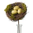 10  Mossy Bird Nest with Eggs Pick Hot on Sale