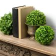 6  Green Boxwood Ball Hot on Sale