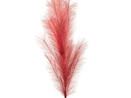 43  Fabric Pampas Grass Spray: Burgundy For Cheap