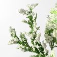 12  Mini Baby s Breath Bundle: Cream Discount