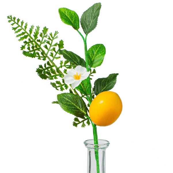 10  Fern, Greenery, Lemon Pick Online