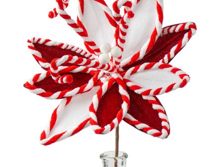 13  Peppermint Poinsettia Stem on Sale