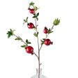 35  Pomegranate Branch: Red Online Hot Sale