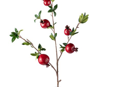 35  Pomegranate Branch: Red Online Hot Sale