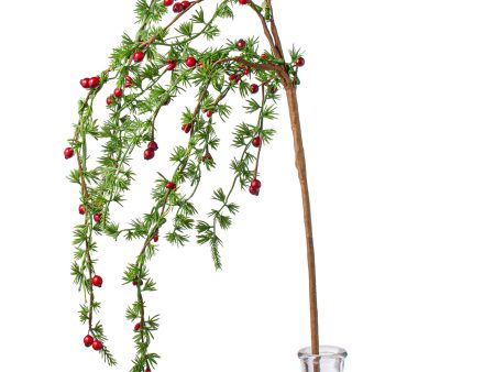 40  Berry Pine Hanging Spray Discount