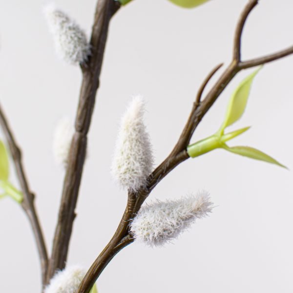 42  Pussy Willow Branch For Discount