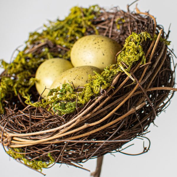 10  Mossy Bird Nest with Eggs Pick Hot on Sale