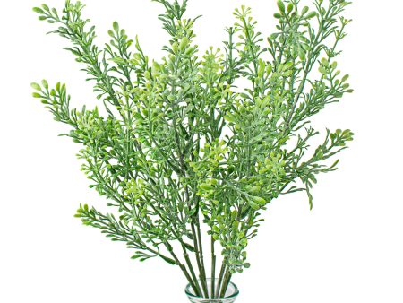 12  Mini Tea Leaf Bush For Discount