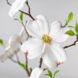 33  Dogwood Flower Spray: White Discount