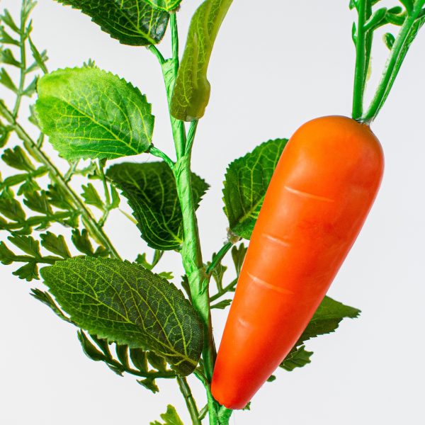 10  Fern, Greenery, Carrot Pick Hot on Sale