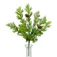 10  Cypress Pine With Pinecone Pick Online