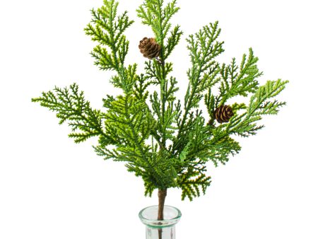 10  Cypress Pine With Pinecone Pick Online