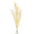 42  Pampas Grass Branch: Ivory Hot on Sale