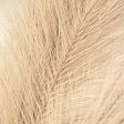 43  Fabric Pampas Grass Spray: Natural Cheap