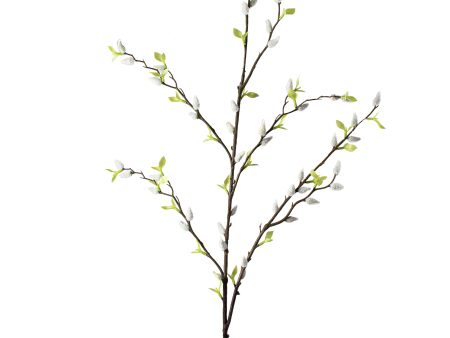 42  Pussy Willow Branch For Discount