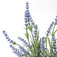 17  Lavender Bundle Online Sale