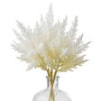 12  Dried Pampas Grass Bundle: Bleached For Sale