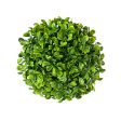 6  Green Boxwood Ball Hot on Sale