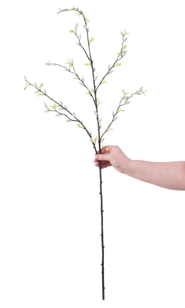 42  Pussy Willow Branch For Discount