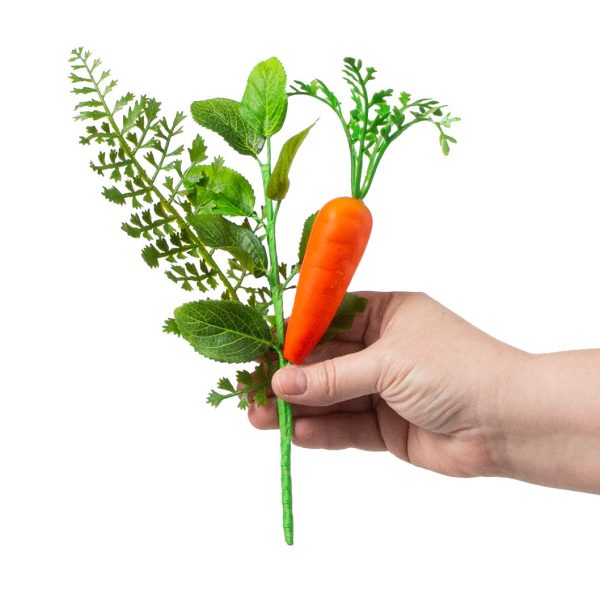 10  Fern, Greenery, Carrot Pick Hot on Sale