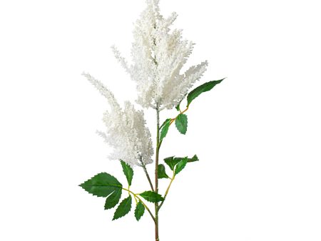 33  Astilbe Spray: Cream Cheap