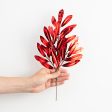 11  Metallic Laurel Pick: Red Hot on Sale