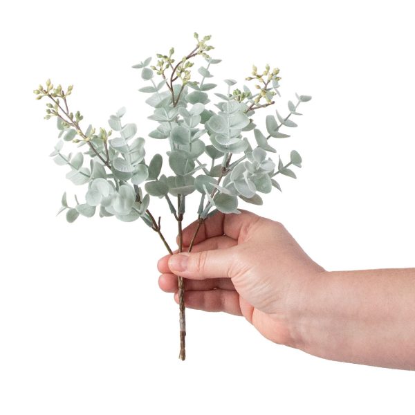 11  Dusty Mini Eucalyptus Bush Online Hot Sale