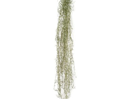 51  Faux Spanish Moss Hanging Spray: Green Gray Online