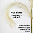 42  Pampas Grass Branch: Ivory Hot on Sale