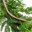 6  Norfolk & Balsam Pine Garland Online now