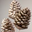 12  Metallic Pinecone Pick: Champagne Online Sale