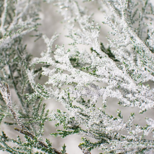 44  Hanging Cedar Snow Spray on Sale