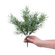 12  Rosemary Bush Discount