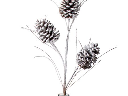 34  Snowed Pinecone Spray: Natural For Sale