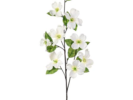 41  Dogwood Spray: Cream Online Hot Sale