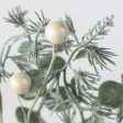 12  Frosted Eucalyptus, Pine, White Berries, Bell Pick Hot on Sale