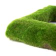 12  Square Cushion Moss Wreath Online Sale