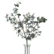 12  Frosted Eucalyptus, Pine, White Berries, Bell Pick Hot on Sale